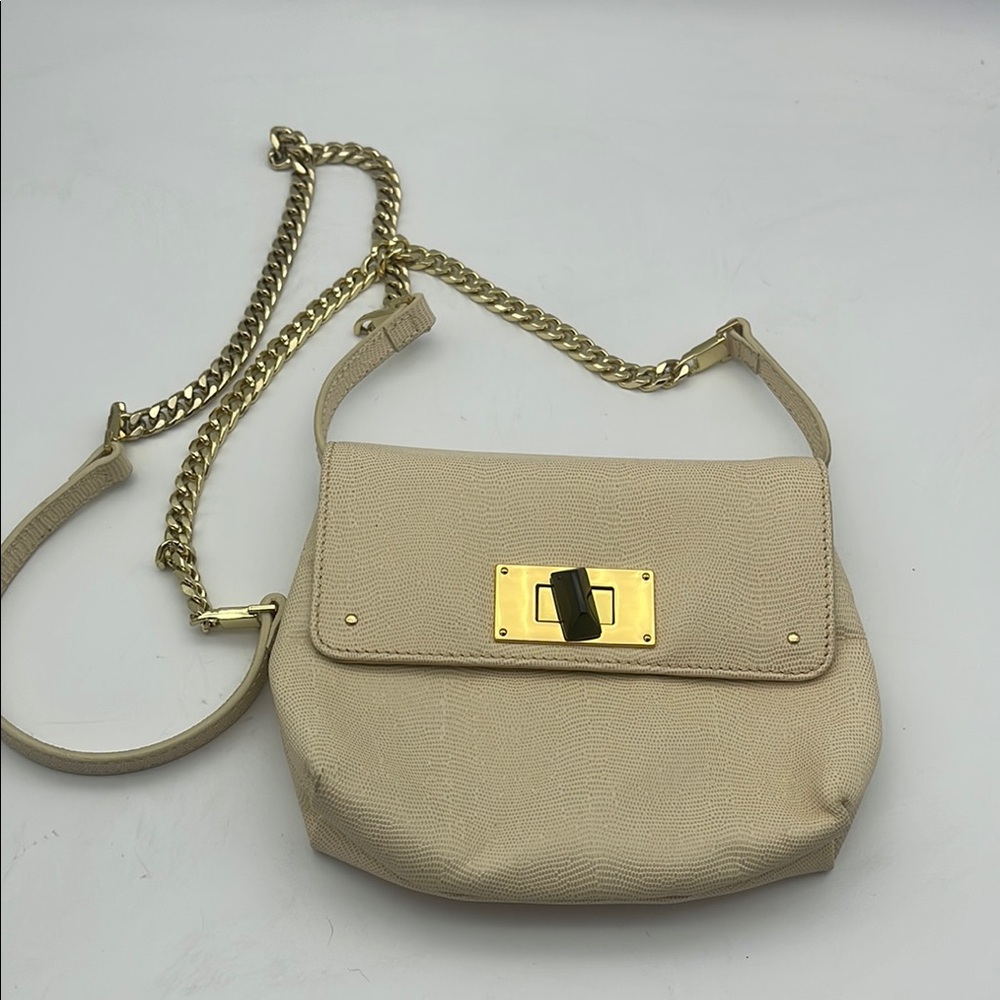 Club Monaco Freja Pebbled Leather Crossbody Bag Purse Leather Chain Bone